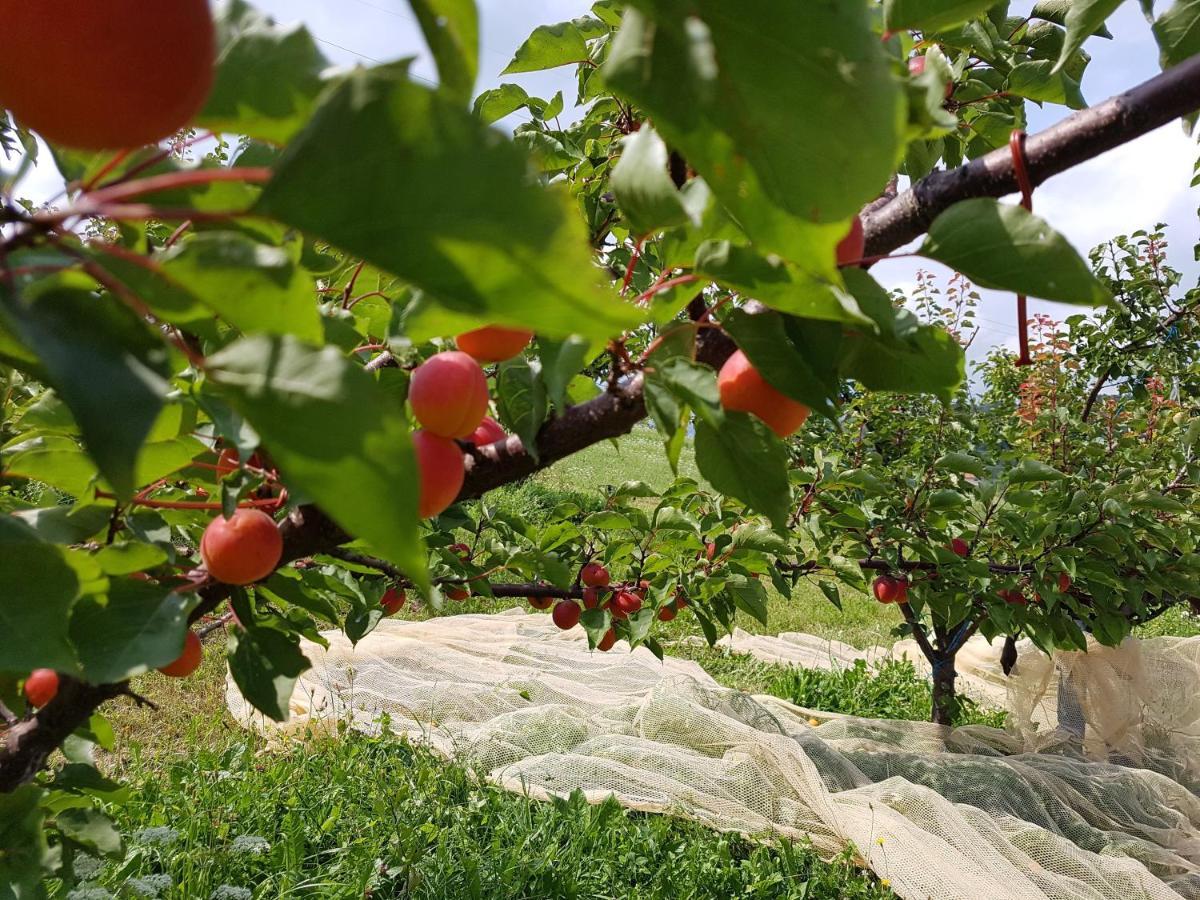 Agriturismo La Giasena ปอนเต เนลลัลปี ภายนอก รูปภาพ