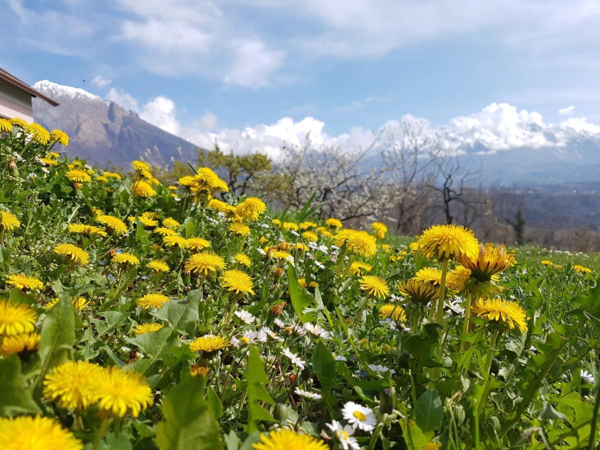Agriturismo La Giasena ปอนเต เนลลัลปี ภายนอก รูปภาพ