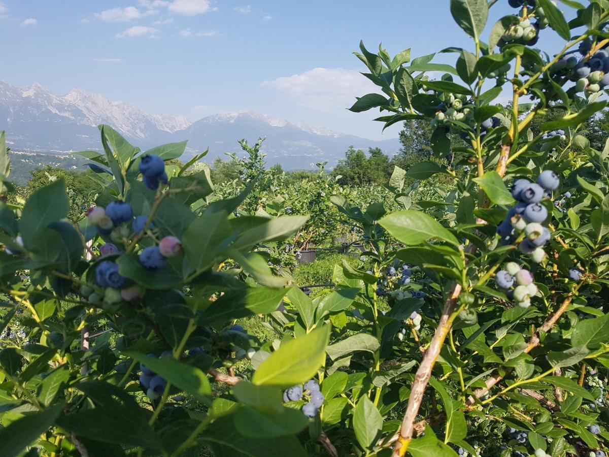 Agriturismo La Giasena ปอนเต เนลลัลปี ภายนอก รูปภาพ